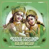 About Radhe Krishna Bhajan Mashup Song